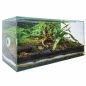 Preview: PLANTCUBE - Vivarium 60x30x30 Panorama
